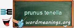 WordMeaning blackboard for prunus tenella